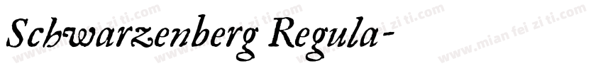 Schwarzenberg Regula字体转换